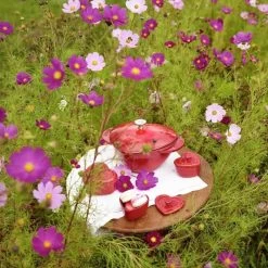 Staub 1.75 Qt. Heart Cocotte/Dutch Oven | Cherry Red 13 Staub 1.75 Qt. Heart Cocotte/Dutch Oven | Cherry Red -Staub Shop 81snjyglvls. ac sl1280